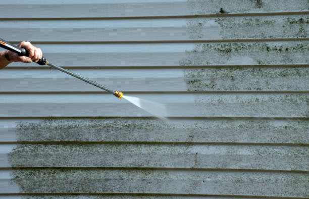 Best Sidewalk and Walkway Cleaning  in Arrowhead Beach, NC